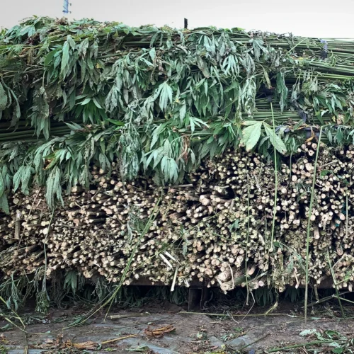 Issue 108 Farm 25 Issue 108 Farm -Magazine World 1 27db2433 94ac 4e88 b2b7 2c36205f936d