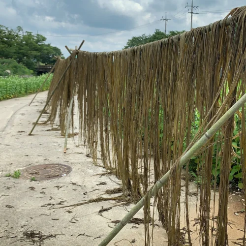 Issue 108 Farm 27 Issue 108 Farm -Magazine World 3 afb5fcfa 931b 4c49 9e14 178d591c1882