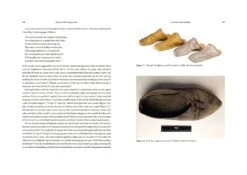 Shoes And The Georgian Man, Matthew McCormack 12 Shoes And The Georgian Man, Matthew McCormack -Magazine World 680550 5