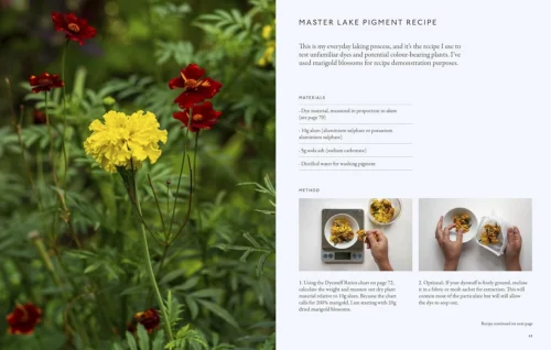 "PRE-ORDER" From Plant To Pigment, Natalie Stopka -Magazine World 714bzthRnHL. SL1500