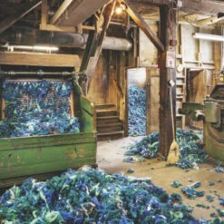 Issue 75 Endeavour -Magazine World 75 1