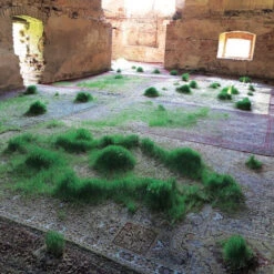 Issue 74 Wild (digital Only) -Magazine World 75.3