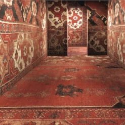 Issue 74 Wild (digital Only) -Magazine World 75.4