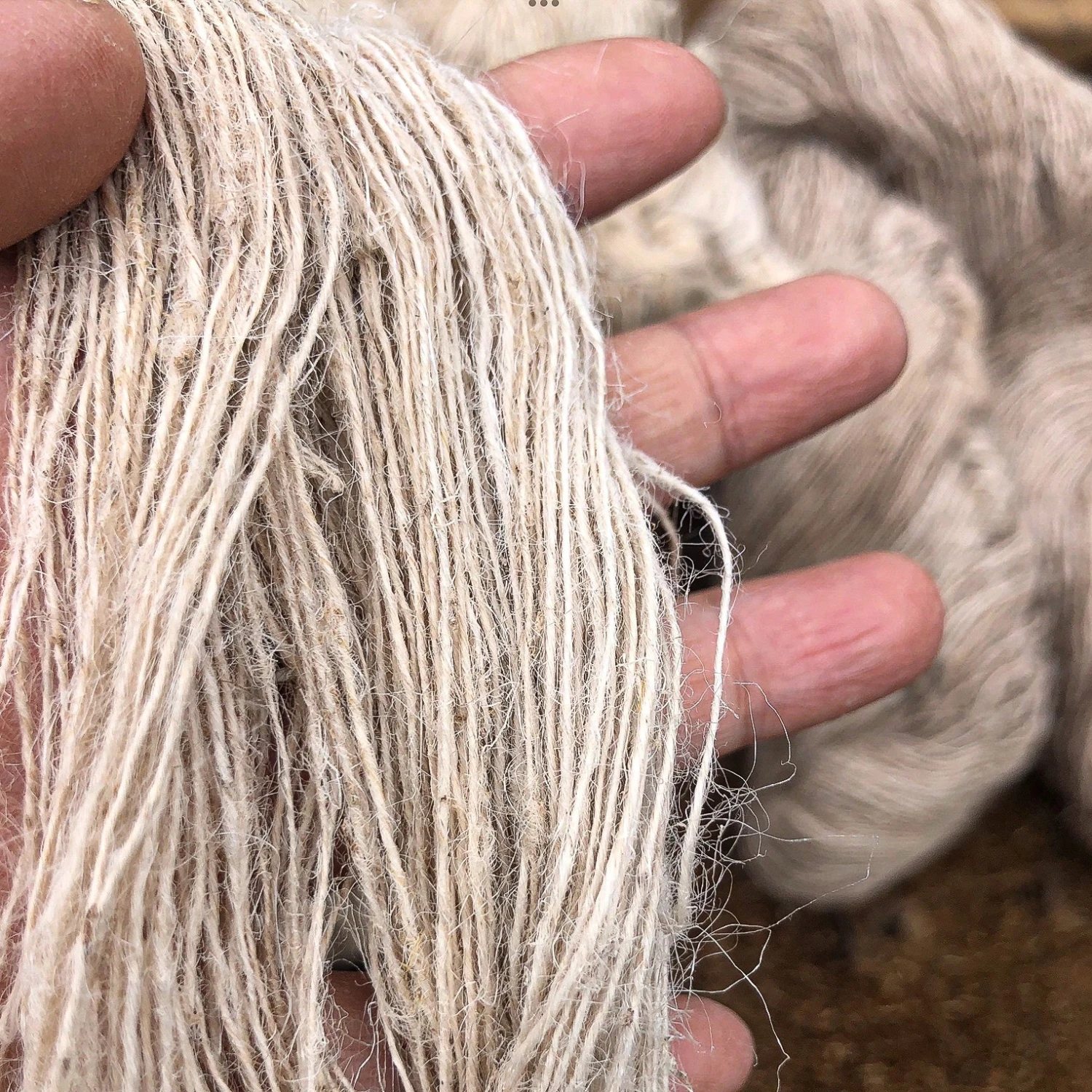 Issue 113 Raw 11 Issue 113 Raw - Image 11