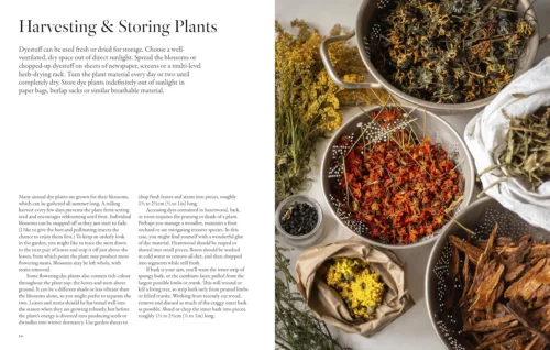 "PRE-ORDER" From Plant To Pigment, Natalie Stopka -Magazine World 915Qw8P8oRL. SL1500