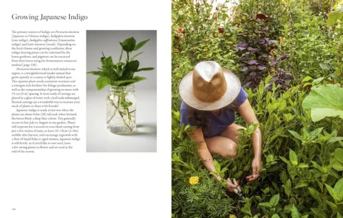 "PRE-ORDER" From Plant To Pigment, Natalie Stopka -Magazine World 91E7ToHFQZL. SL1500