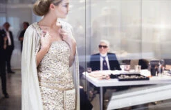 Maison Lesage: Haute Couture Embroidery, Patrick Mauriès -Magazine World 9780500021538 IN10