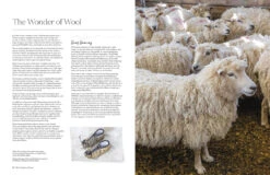 Wonder Of Wool: A Knitter's Guide To Pure Breed Sheep, Justine Lee, Jess Morency -Magazine World 9781446315453 iart02