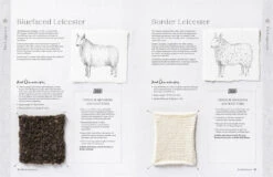 Wonder Of Wool: A Knitter's Guide To Pure Breed Sheep, Justine Lee, Jess Morency -Magazine World 9781446315453 iart03