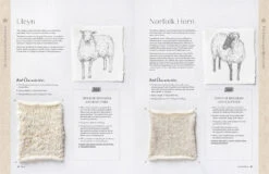 Wonder Of Wool: A Knitter's Guide To Pure Breed Sheep, Justine Lee, Jess Morency -Magazine World 9781446315453 iart04