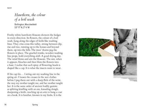 Fletcher's Almanac: Nature Encounters & Fashion Systems Through The Year, Kate Fletcher -Magazine World 9781739316068.IN02