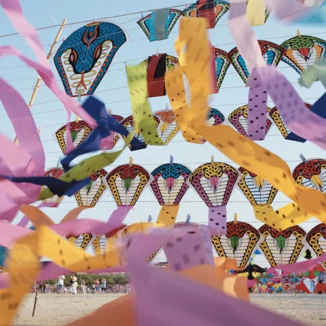 Issue 06 Blossom 3 Issue 06 Blossom - Image 3