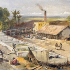 Issue 58 Blue & White - Currently Only Available As A Digital Copy -Magazine World BlueandWhite 5