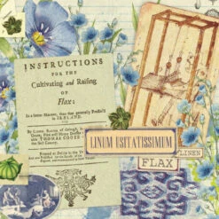 Issue 52 Botanical -Magazine World Botanical 1