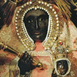 Issue 52 Botanical -Magazine World Botanical 3