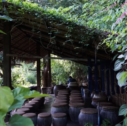 Issue 107 High Summer -Magazine World DSC04605 scaled