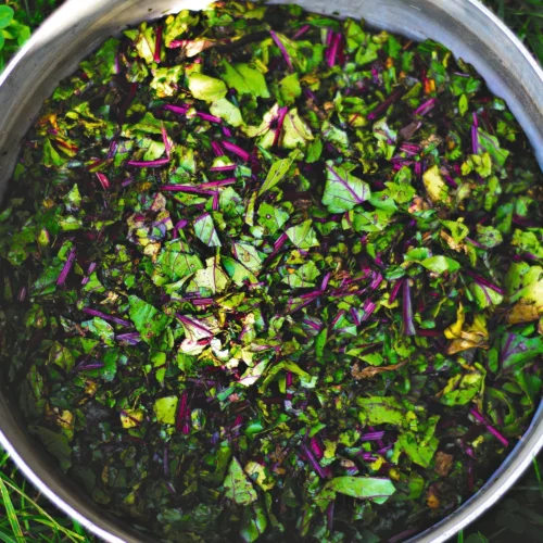 Issue 124 Rural 26 Issue 124 Rural -Magazine World DSC0604