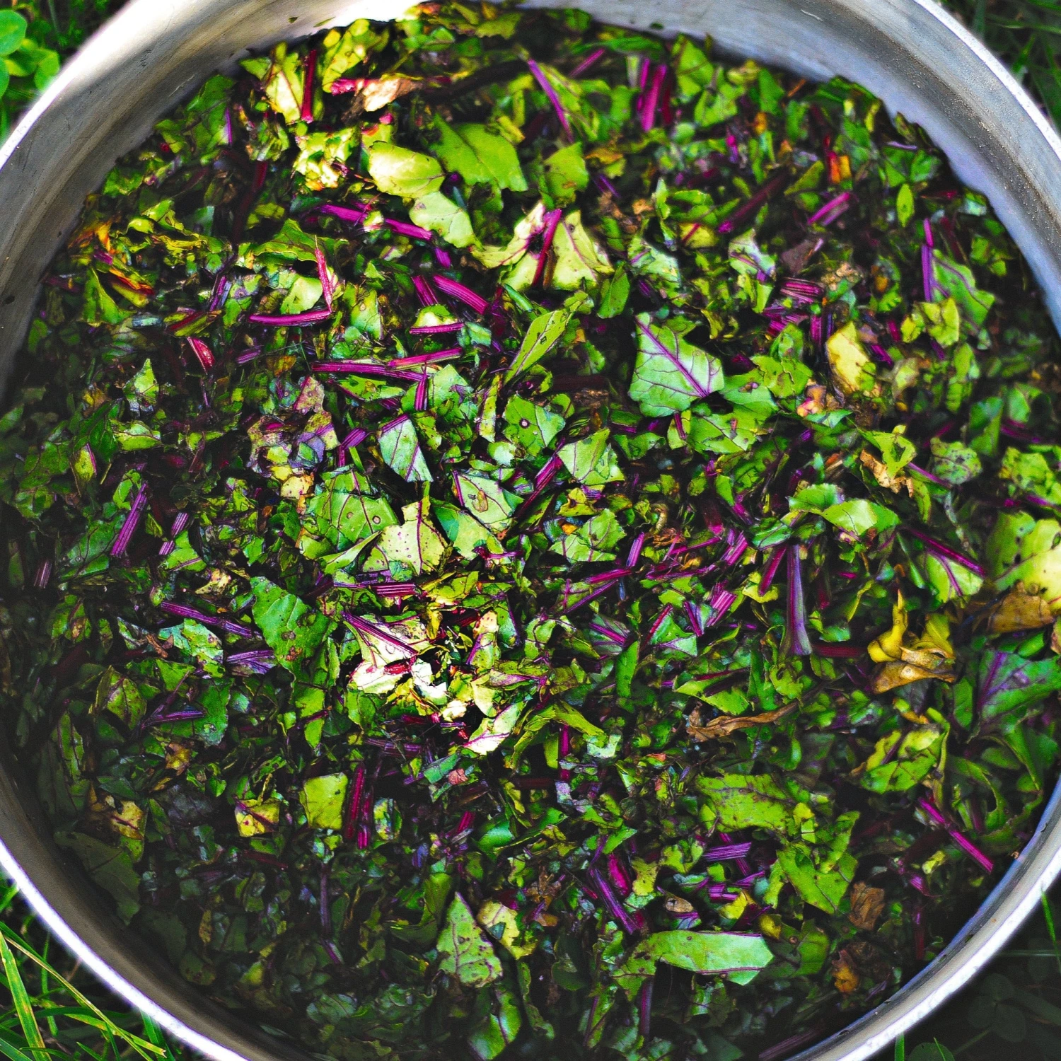 Issue 124 Rural 10 Issue 124 Rural - Image 10