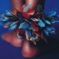 Issue 17 Debut - Currently Only Available As A Digital Copy -Magazine World Debut 4