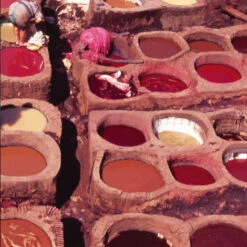 Issue 17 Debut - Currently Only Available As A Digital Copy -Magazine World Debut 8