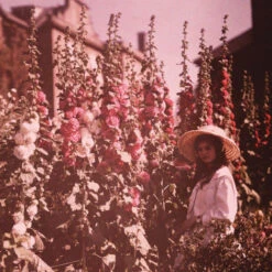 Issue 70 Delicate (digital Only) -Magazine World Delicate 3