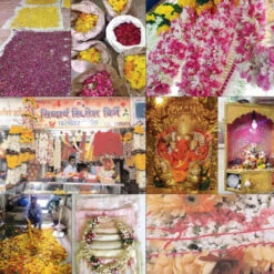 Issue 70 Delicate (digital Only) -Magazine World Delicate 8