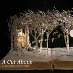 Issue 37 Dress Circle -Magazine World DressCircle 3