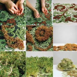 Issue 49 Evergreen -Magazine World Evergreen 4