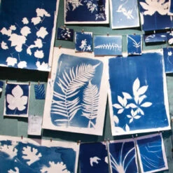 Issue 49 Evergreen -Magazine World Evergreen 6