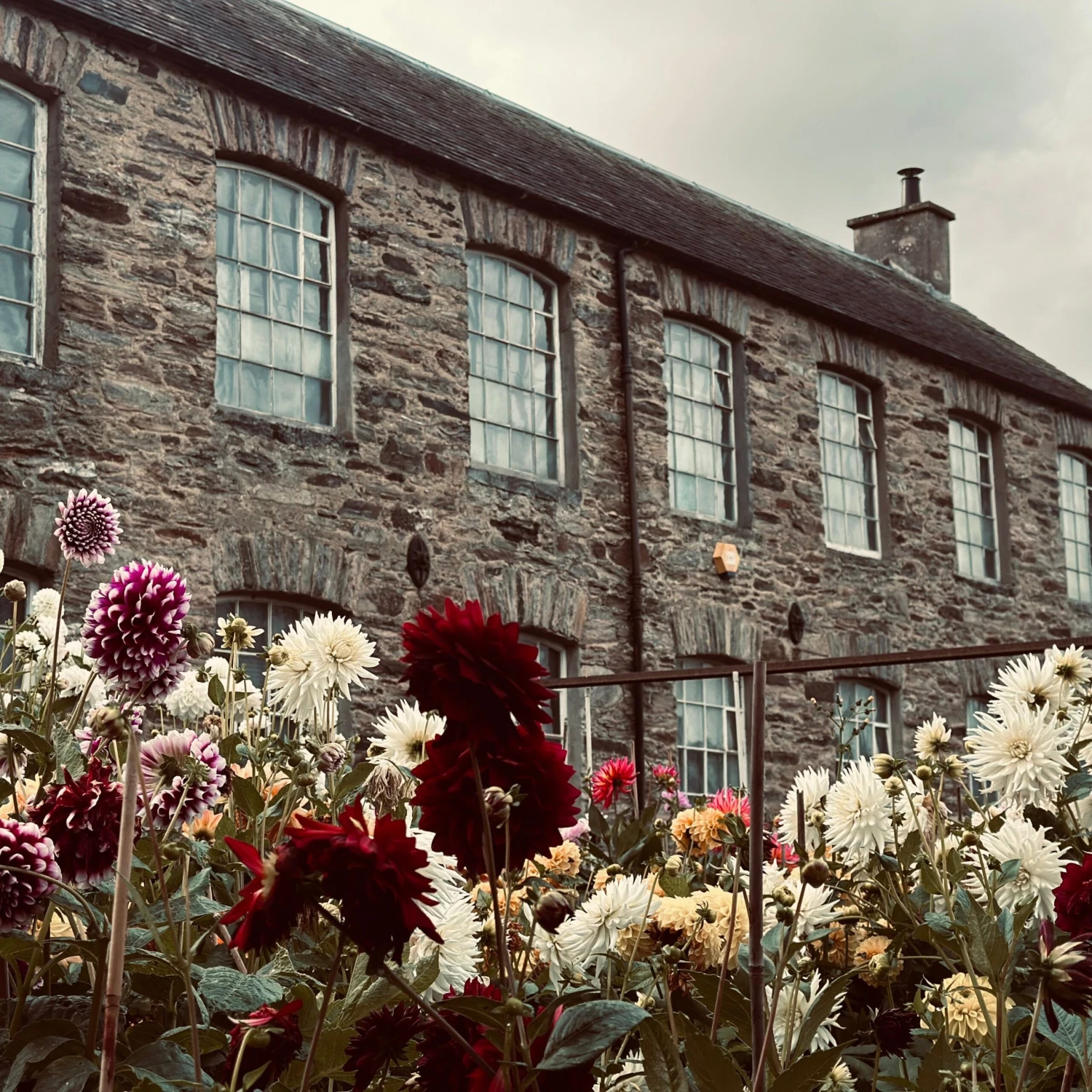 Issue 124 Rural 13 Issue 124 Rural - Image 13