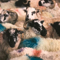 Issue 72 Green -Magazine World Green 6