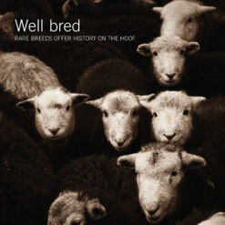 Issue 25 Harvest -Magazine World Harvest 7