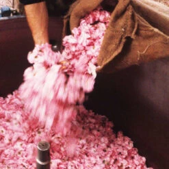 Issue 24 Indian Summer - Currently Only Available As A Digital Copy -Magazine World IndianSummer 5