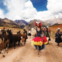 Issue 71 Southern -Magazine World Large Selvedge 71 Digital 27