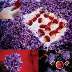 Issue 57 Meteorological - Currently Only Available As A Digital Copy -Magazine World Meteorological 4