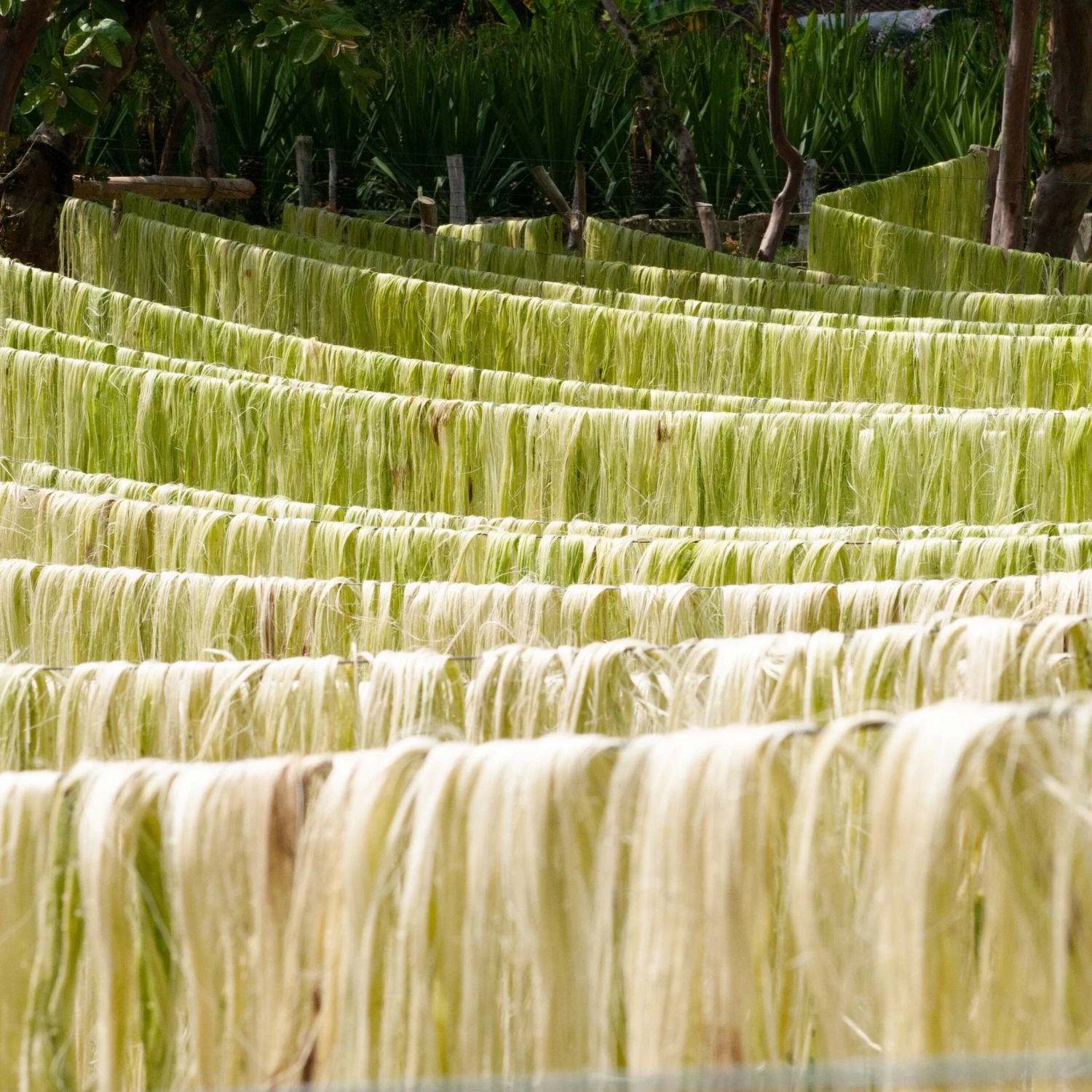 Issue 124 Rural 11 Issue 124 Rural - Image 11