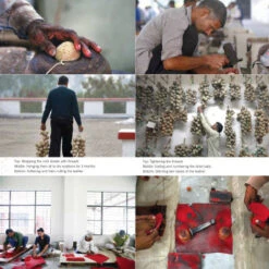 Issue 47 Sporting -Magazine World Sporting 4