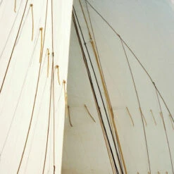 Issue 47 Sporting -Magazine World Sporting 8