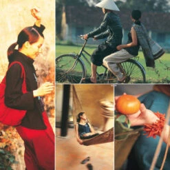 Issue 11 Vivid -Magazine World Vivid 1