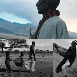 Issue 11 Vivid -Magazine World Vivid 2