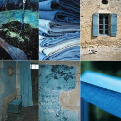 Issue 11 Vivid -Magazine World Vivid 5