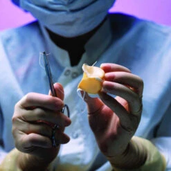 Issue 15 Wellbeing -Magazine World Wellbeing 6