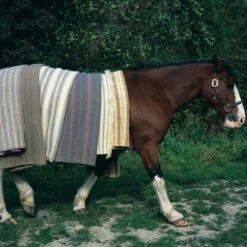 Issue 03 Wool (digital Only) 14 Issue 03 Wool (digital Only) -Magazine World Wool 4