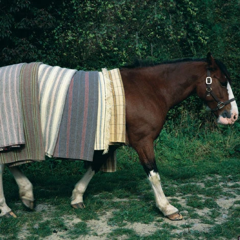 Issue 03 Wool (digital Only) 5 Issue 03 Wool (digital Only) - Image 5