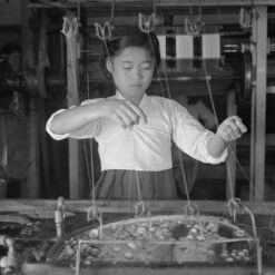 Issue 38 Zoological -Magazine World Zoological 3