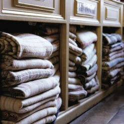 Issue 38 Zoological -Magazine World Zoological 7