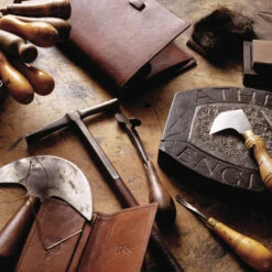 Issue 38 Zoological -Magazine World Zoological 8