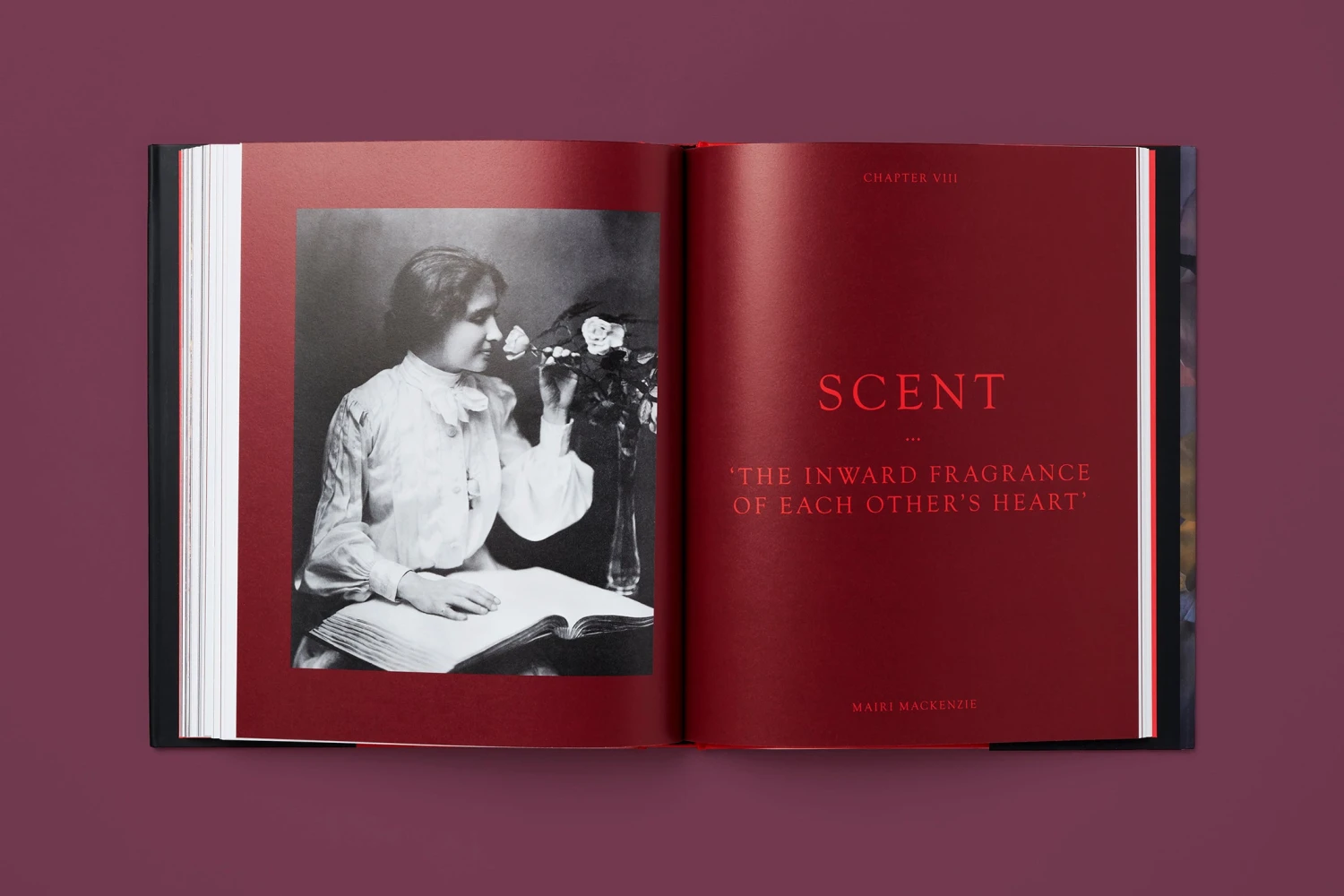 The Rose In Fashion: Ravishing, Amy De La Haye 10 The Rose In Fashion: Ravishing, Amy De La Haye - Image 10