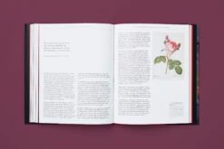 The Rose In Fashion: Ravishing, Amy De La Haye 22 The Rose In Fashion: Ravishing, Amy De La Haye -Magazine World charliesmithdesign yale the rose book 12