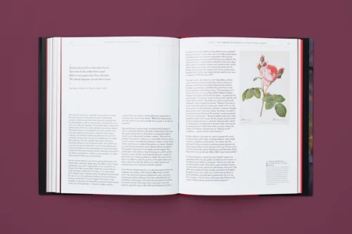 The Rose In Fashion: Ravishing, Amy De La Haye -Magazine World charliesmithdesign yale the rose book 12